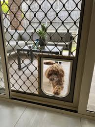 Screen Dog Doors Installation