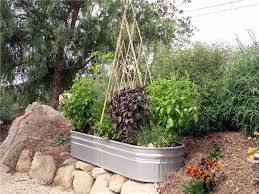 Small Vegetable Garden Ideas