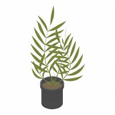 Cartoon Fl Flower Isometric