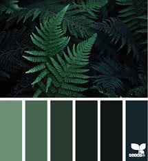 Color Nature Forest Green Paint Color