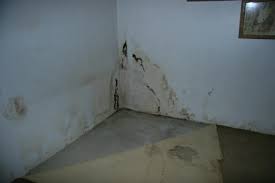 Basement Waterproofing In Grand Rapids