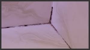 Remove Replace Moldy Shower Caulk