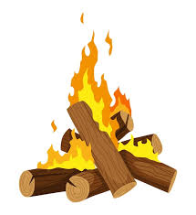 Fireplace Campfire Type Burning Wood