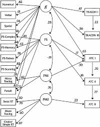 Cognitive Perceptual Sd And