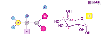 Metabolites And Biomacromolecules