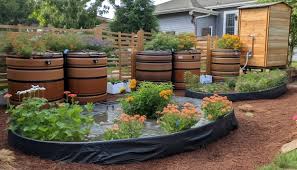 Raised Garden Bed Images Free