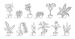 Houseplant Sketch Images Browse 22