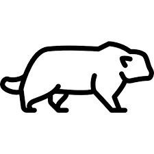 Pallas Cat Free Animals Icons