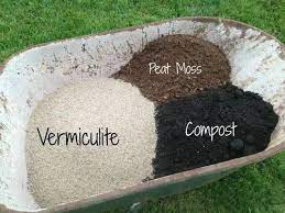 Prepare Soil For Vegetable Gardens