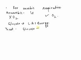 Word Equation For Anaerobic Respiration