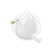 White Dove Png Images Free