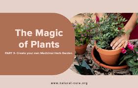 Medicinal Herb Garden