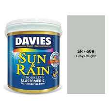 Davies Sun Rain Gray Delight Top