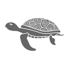 Turtle Isolated Vector Art Png Turtle