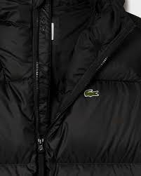 Lacoste Blouson Puffer Logo Hooded