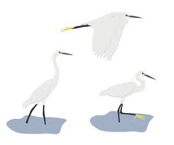 Egret Icon Images Browse 2 470 Stock