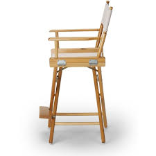 Director Chair By Telescope Casual