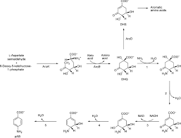 4 Aminobenzoic Acid An Overview