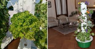 These Aeroponic Towers Let You Grow 30x