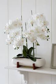 Buy White Extra Large Real Touch Orchid
