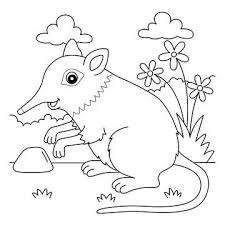 Elephant Shrew Animal Coloring Page For