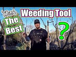 Best Weed Removing Tool For Gardeners