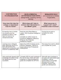 Development Plan For Manager Examples