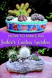 How To Make An Indoor Cactus Garden