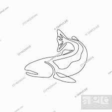 One Single Line Drawing Of Big Salmon