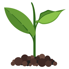 Ecology Friendly Nature Plant Icon