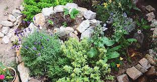 Herb Spiral In Your Garden