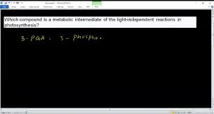 Light Independent Reactions