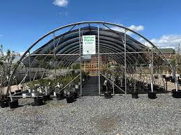 Save 25 On Native Trees And Shrubs