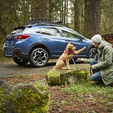 Subaru Dog Seat Cover Owleys