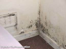 My House Is Damp What Can I Do About It
