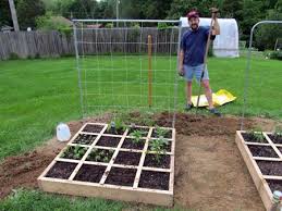 Square Foot Gardening Layout