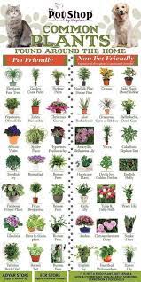 What Plants Are Safe And Unsafe For