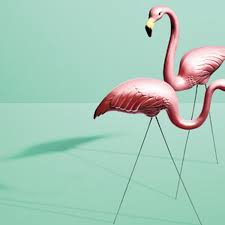 The Tacky History Of The Pink Flamingo