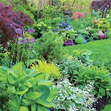 How To Design A Colorful Shade Garden