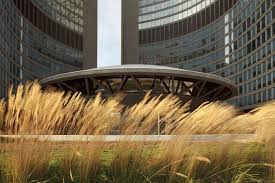 Podium Roof Garden Plant