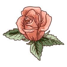 Rose Flower Petal Icon Png Svg Design