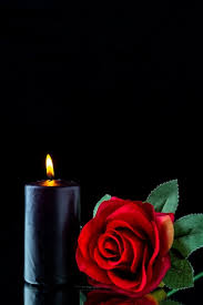 Front View Of Dark Candle With Red Rose