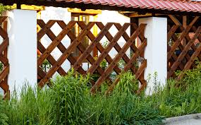 Garden Company Ideas For Backyard