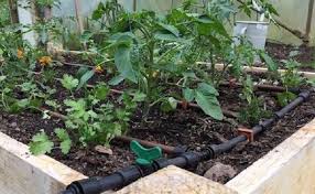 A Guide To Polytunnel Irrigation