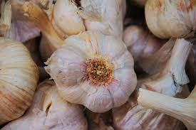 Growing Garlic Down To Earth Home