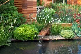 Modern Garden Inspiring Garden Ideas