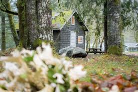 Cozy Cabins For A Bc Getaway Explore