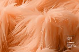 Peach Fuzz Is The New Pantone Color