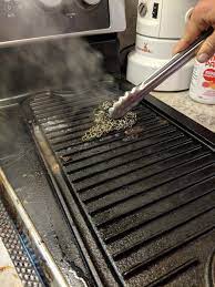 Cast Iron Griddle On A Glass Top Stove