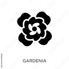 Gardenia Icon Gardenia Symbol Design